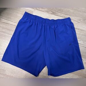 Men above the knee quick dry purple shorts